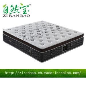 Bedroom Furniture Compressed Pocket Spring Hotel Mattress