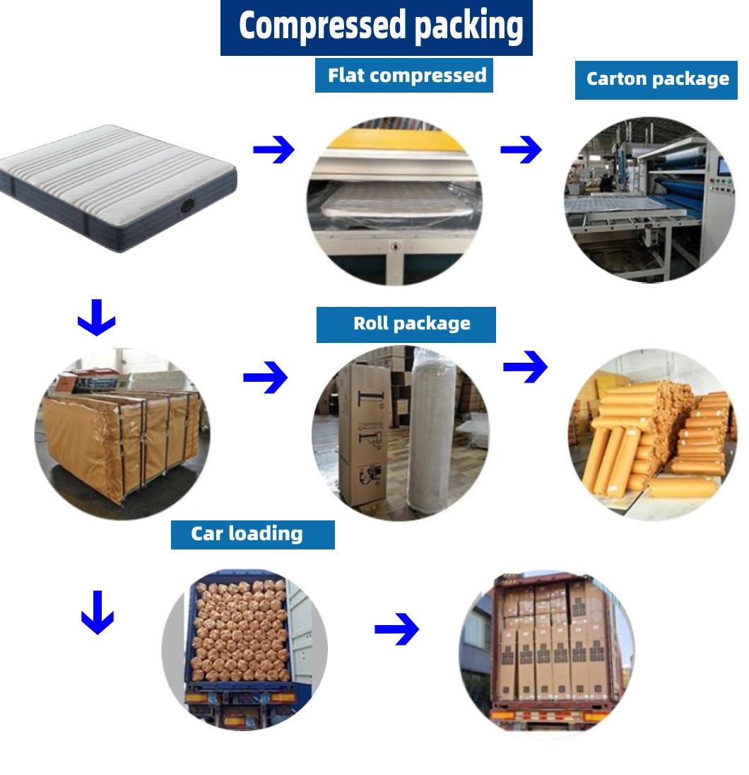 King Hotel Compressed Memory Foam Bed Natural Latex Topper Pad Sponge Coil Spring Mattress