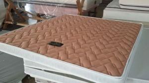 Sandwish Fabric Coconut Palm Foam Mattress for School Bed