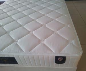 Luxurious Mattress (HMM00104-BF)