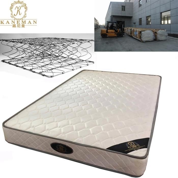 Fireproof Spring Mattress Cheap Price Hotel Mattress and Dormitory Project Coil Spring Mattress