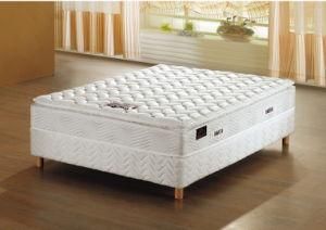 2013 Euro Spring Mattress (FL-008)