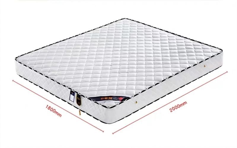 Modern Bedroom Furniture Bed Customized Pocket Coil Spring Memory Foam Mattresses