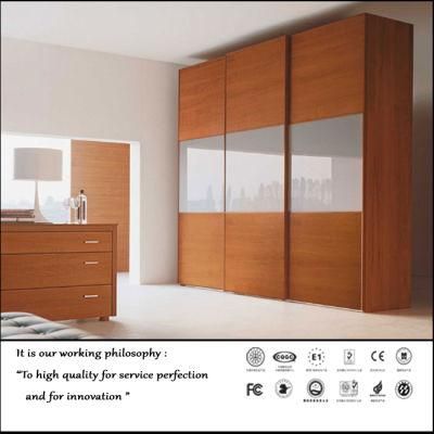 Wooden Pattern Sliding Door Closet (Fy2387)