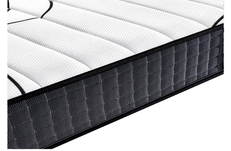 Queen Anti Mold Mattress and Box Spring Set Mattress