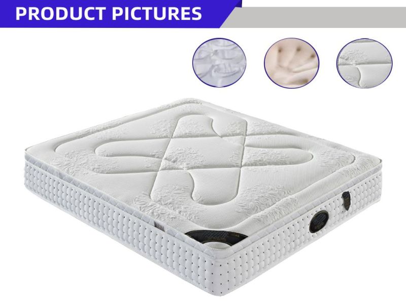 Back Care Procket Spring Bedroom Furniture Beautiful Soft Furniture Mattress