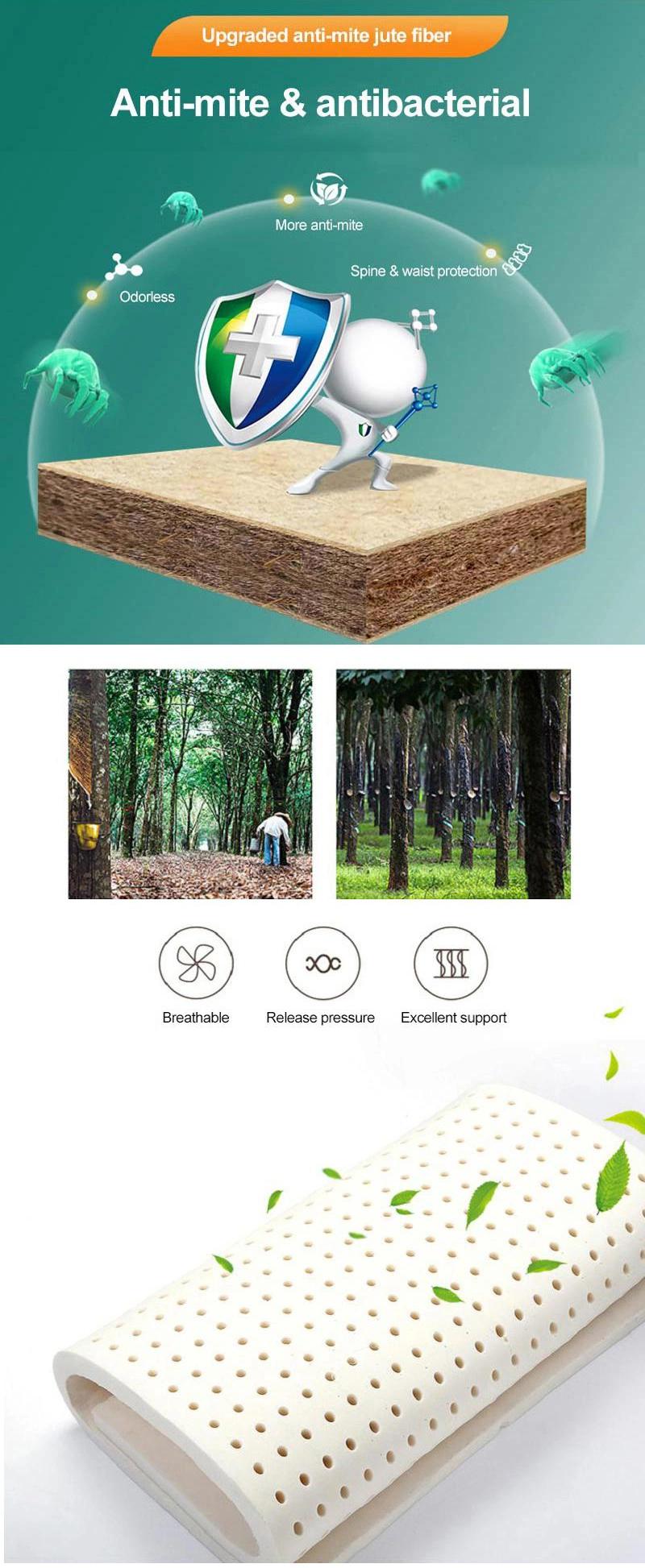 Home Foam Mattress Two Foldable Thick 10cm Single Bed