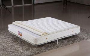 Luxury New Style Compress and Foam Rolling Mattress