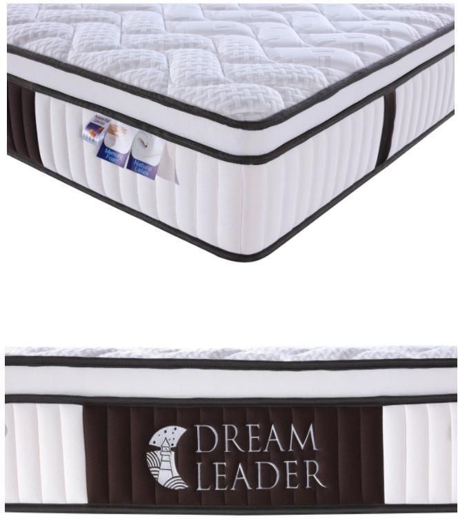 Five Zone Euro Top Skin-Friendly Loycell Fabric Pocket Spring Latex Foam Mattress