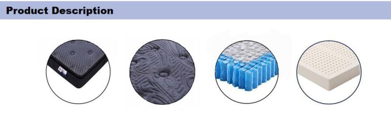 Euro Top Comfort Sleep Soft Foam Latex Pocket Spring Mattress