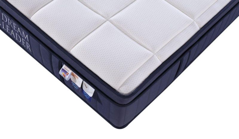 Knitted Fabric Cover Pokcet Spring Coil Latex Memory Foam Bed Mattress