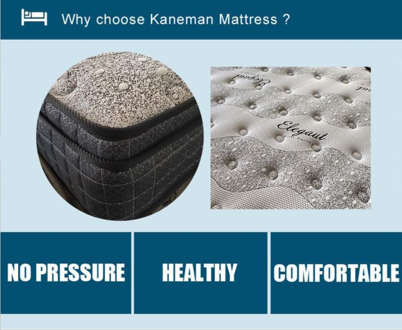 Wholesale Mattress Coil Bed Mattress Factory Mattress Custom Sizes