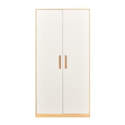 Color/ Customized Steel Staff Clothes Cupboard Cabinets Wardrobe with 2 Doors