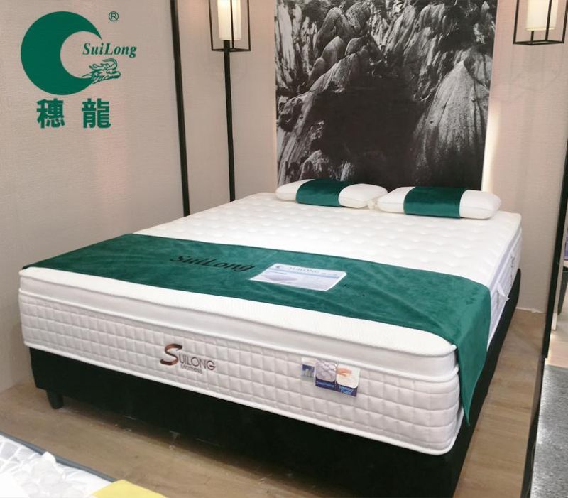 Double Bed Compressed Roll up Euro-Top Double Pocket Memory Foam Bread Pocket Spring Mattress