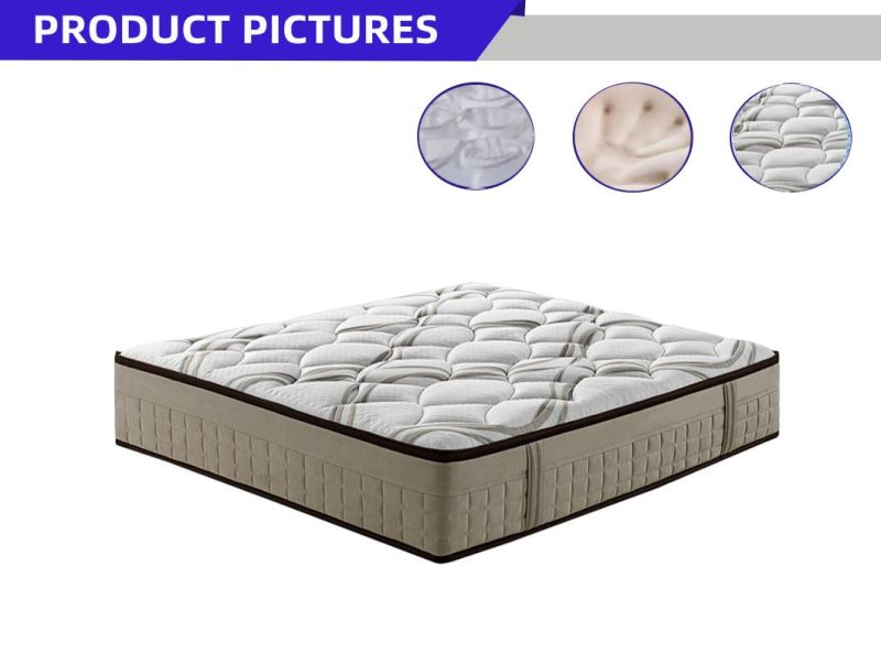 Soft Foam Sleeping Cheap Price Foam Mattress