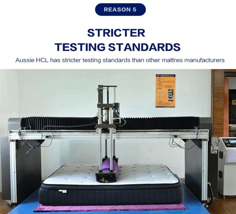 Aussie Full Queen King Size Rolled Bed Mattresses Wholesale Latex Spring Sponge Mattress in a Box
