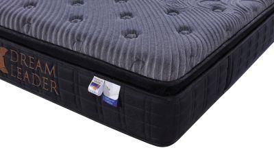 Hotel New Dreamleader/OEM Compress and Roll in Carton Box Zinus Sprung Mattress