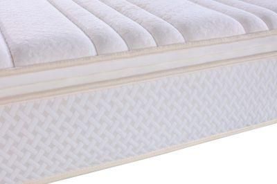 Tight Top Hotel Dreamleader/OEM Compress and Roll in Carton Box Bedroom Spring Mattress