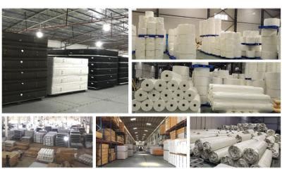 School Dreamleader/OEM Compress and Roll in Carton Box Malaysia Foam Mattress