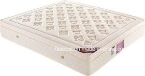 Euro Top Simple Design Spring Wool Mattress