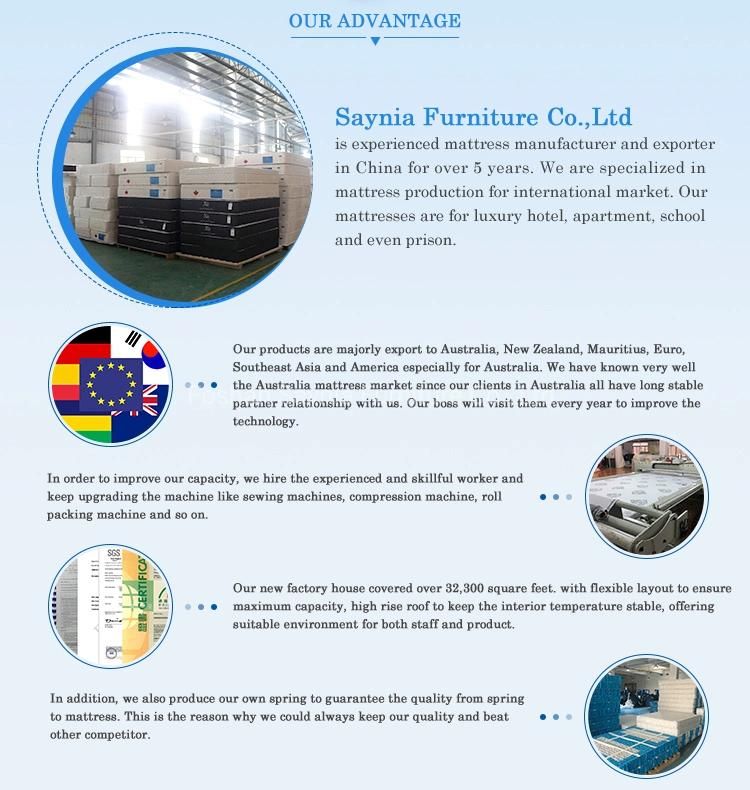 Foshan Spring Manufacturer Making Mini Pocket Spring Unit for Mattress
