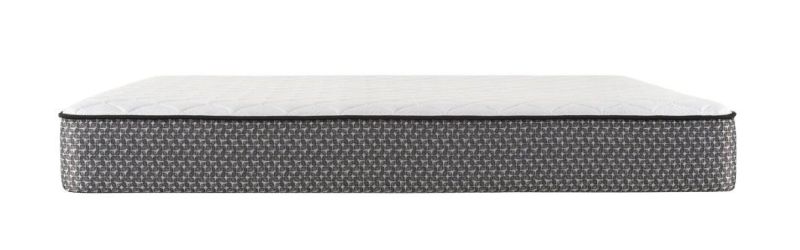 High Density Soft Foam Pocket Spring Latex Rolling Mattress for 5 Star Hotel
