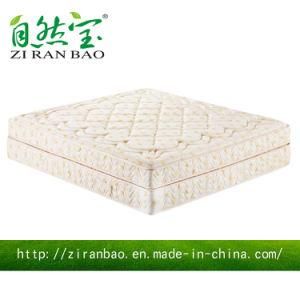 Best Selling Products Centuary Coconut Coir Memory Talalay Latex Mattress