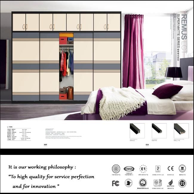 Modern Wardrobes with Sliding Doors (ZHUV)