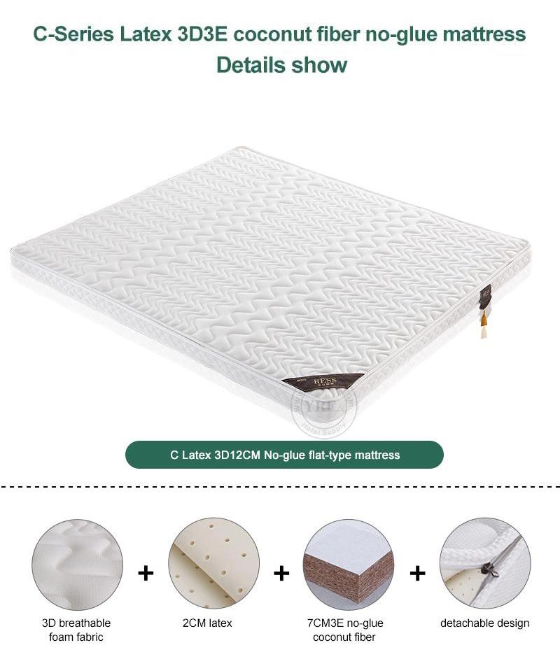 Home Foam Mattress Two Foldable Thick 10cm Single Bed