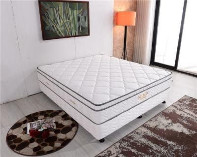 Luxury Design Euro Pillow Top 5 Star Hotel Standard Pocket Spring Foam Mattress with Natural Latex