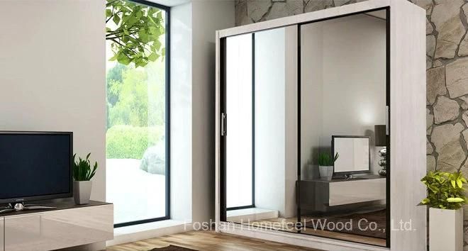 Interior Modern Mirror Sliding Door Design Home Wardrobe (HF-EY019)