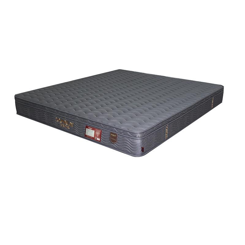 Euro Top Good Quality Mattress From Gold Member