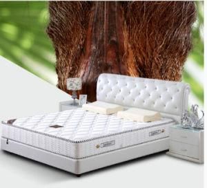 Five-Fold Fiber Palm Mattress/Spring Mattress (MS-805)