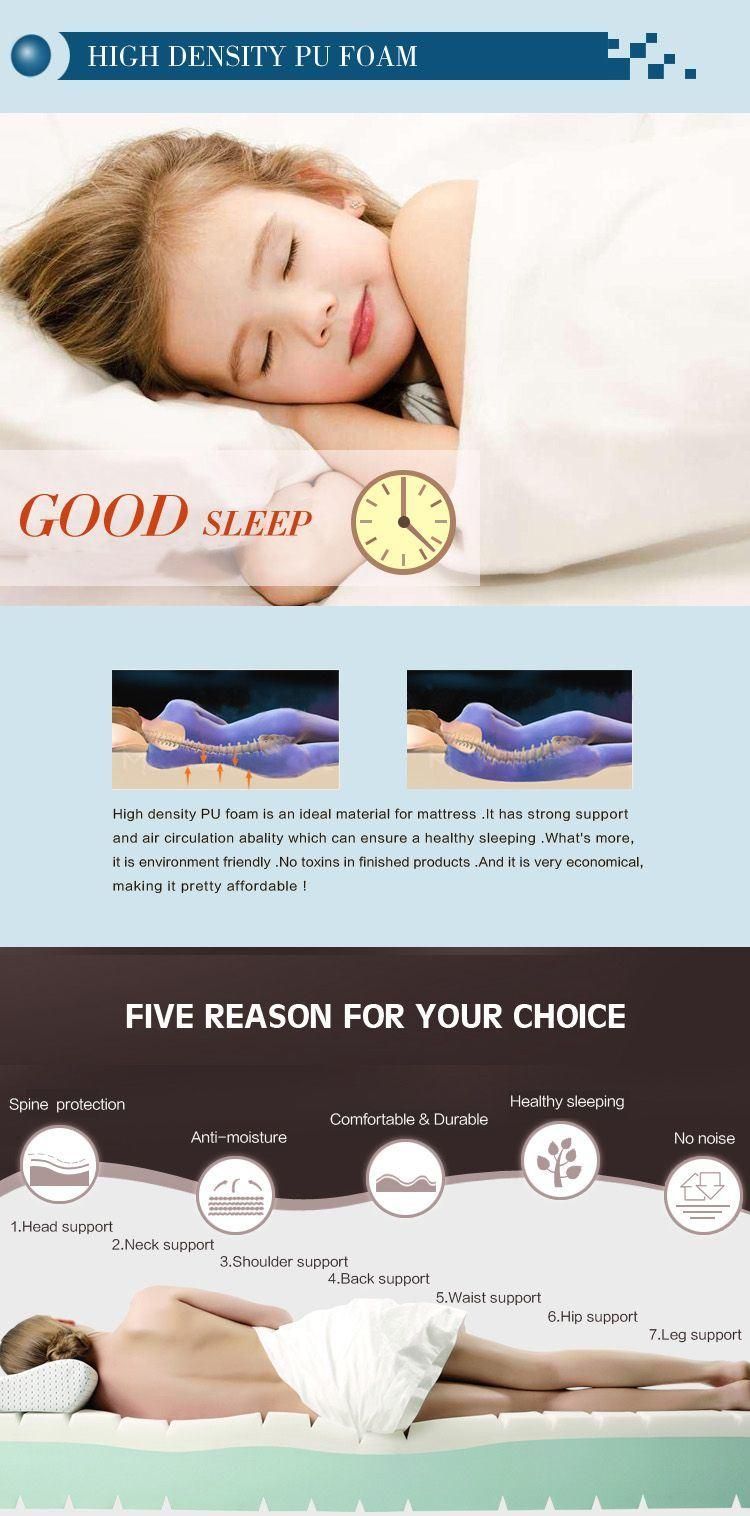 Jail Mattress with Pillow High Density Foam Mattress Waterproof Canvas Fabric