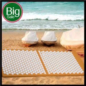 Shakti Acupuncture Massage Mat (QY-HM-450)