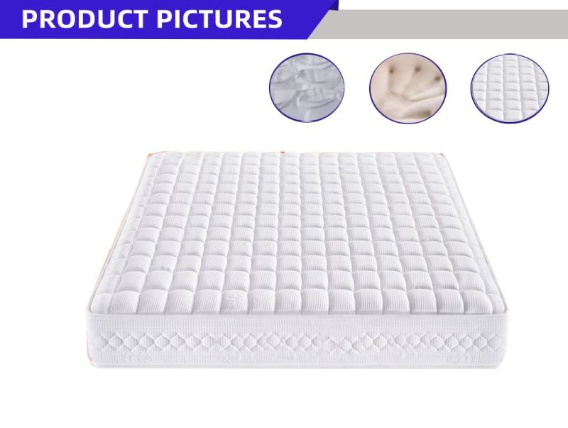 Furnirture Memory Foam Latex Pocket Spring Bread Pocket Spring Mattress
