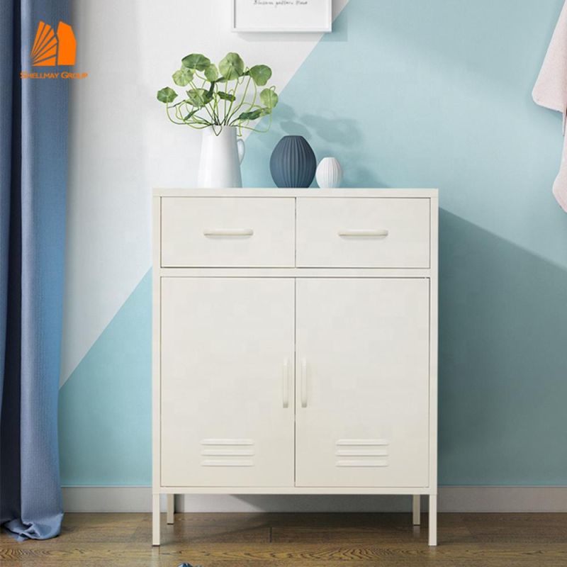 Multi-Colour Modern Furniture Cabinet with Two Drawers