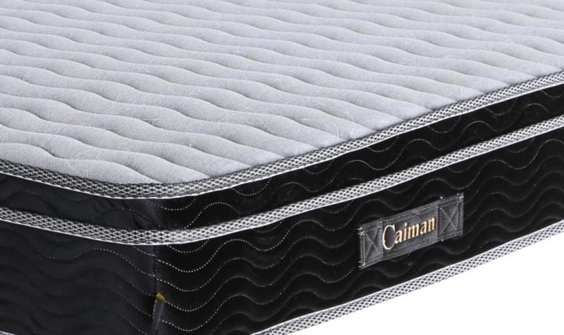 Factory Offer Euro Top Mattress for Economy Hotel
