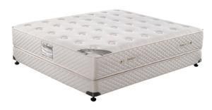 High Grade Quanlity Hotel Mattress Ms-Glasgow