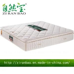 Luxury Queen 3 Zone Knitted Fabric Pocket Spring Mattress