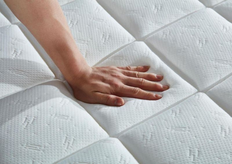 Competitive Price Hotel Queen Mattress and Box Spring Roll up Single Mattress Spring