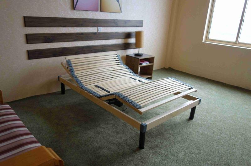 Factory Price Multi-Function Electric Adjustable Frame Electric Bed Solid Bed