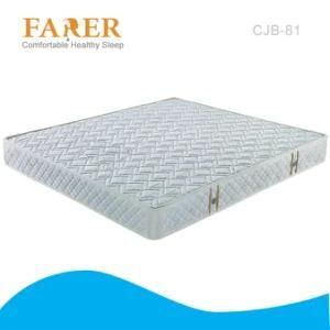 3e Coconut Coir Mattress with High Density Foam
