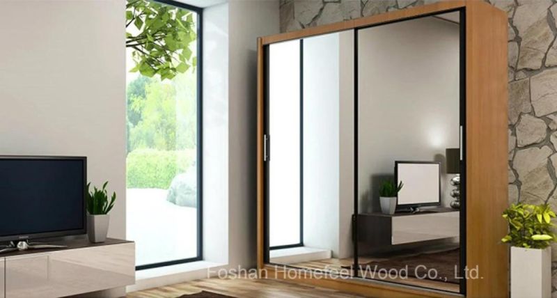 Interior Modern Mirror Sliding Door Design Home Wardrobe (HF-EY019)