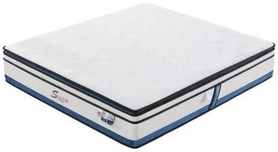 Knitted Fabric School Dreamleader/OEM Compress and Roll in Carton Box Green OEM Mattress