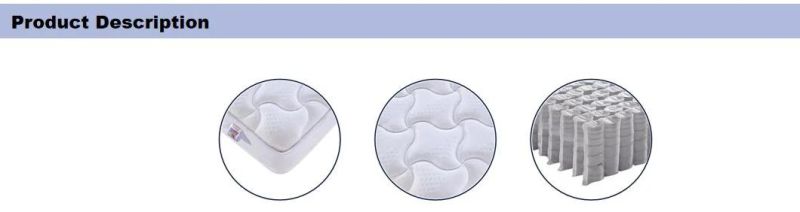 Home and Hotel Used Bedding Furniture Packing in Box Tight Top Pocket Spring Mattress