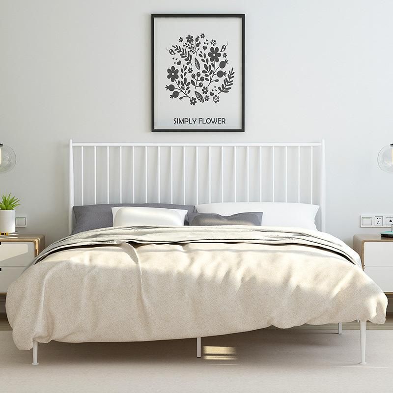 Hot Sales Metal Bed Nordic Simple Wrought Iron Bed Double Bed