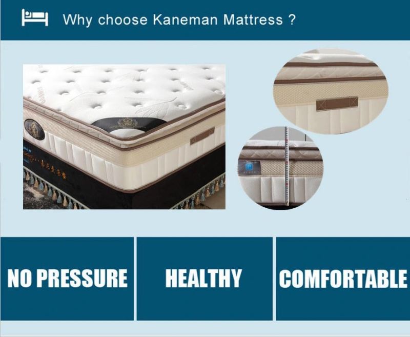 10inch Spring Mattress Bed Mattress Queen Size Mattress in Box