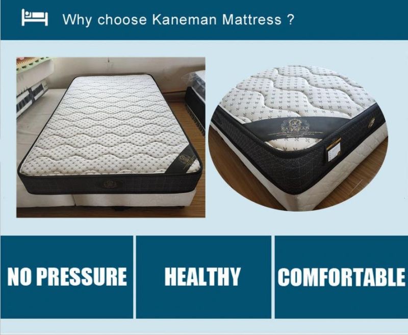 Twin Size Mattress Coil Spring Mattress Compress Mattress