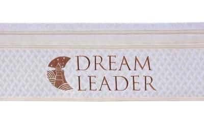 Knitted Fabric Rectangular Dreamleader/OEM Compress and Roll in Carton Box Queen Mattress Memory Foam
